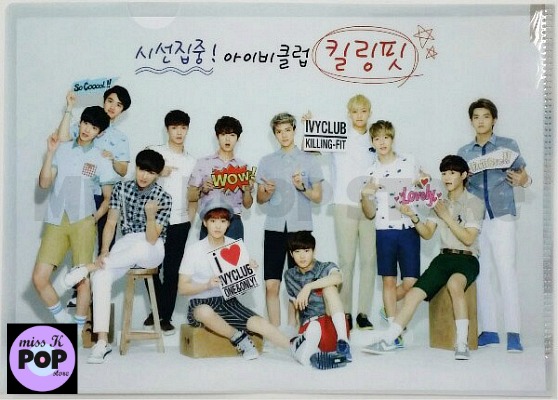 IVY CLUB - Official Goods: EXO [2014 Summer] Clear File (Folder) 